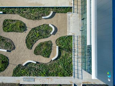 green rooftop at Waalwijk DC